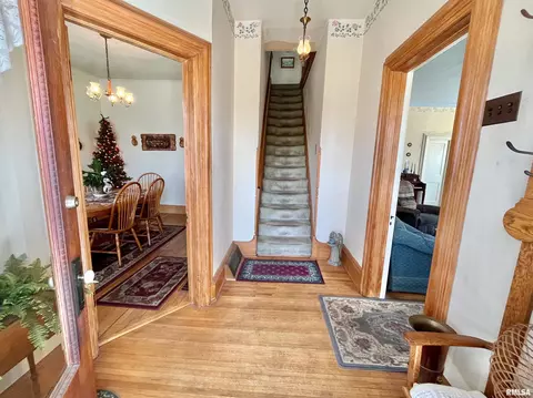 717 11th Ave, Fulton, IL 61252 photo 9