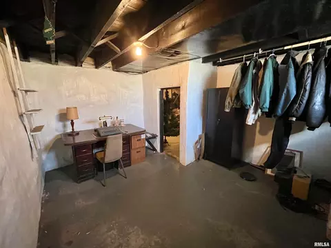 717 11th Ave, Fulton, IL 61252 photo 37