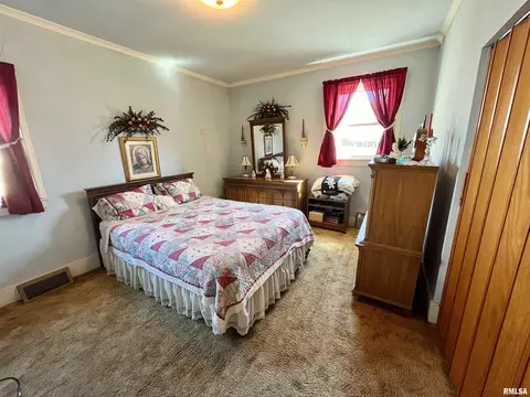 717 11th Ave, Fulton, IL 61252 photo 21