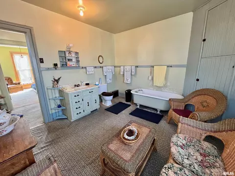 717 11th Ave, Fulton, IL 61252 photo 32