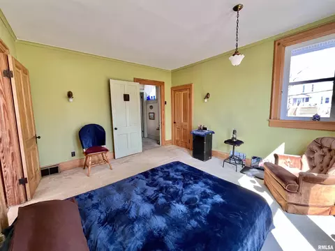 717 11th Ave, Fulton, IL 61252 photo 26
