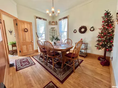 717 11th Ave, Fulton, IL 61252 photo 17