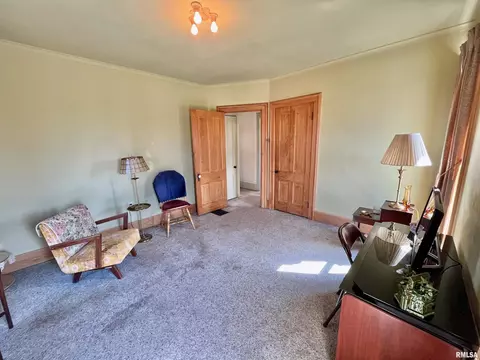 717 11th Ave, Fulton, IL 61252 photo 31