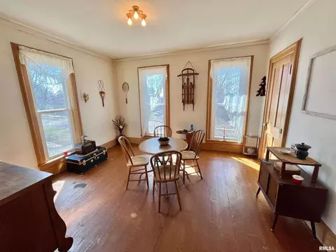 717 11th Ave, Fulton, IL 61252 photo 28