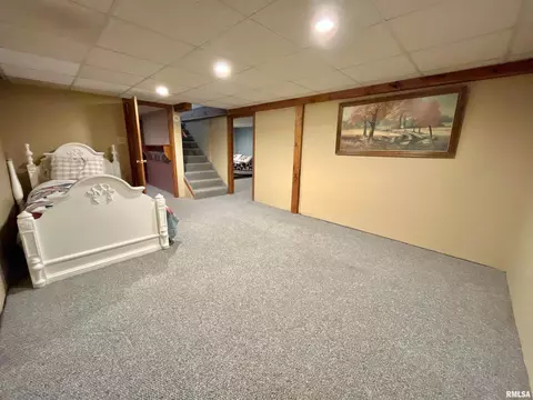 716 7th Ave, Fulton, IL 61252 photo 25