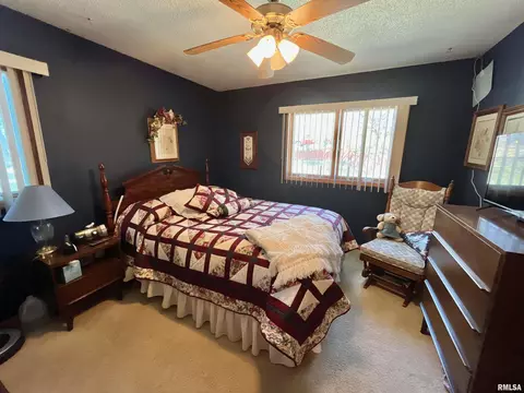 716 7th Ave, Fulton, IL 61252 photo 22