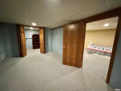 716 7th Ave, Fulton, IL 61252 photo 28