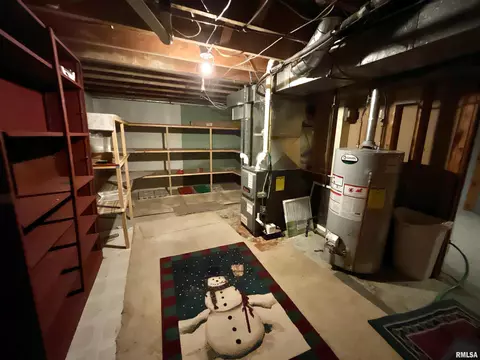716 7th Ave, Fulton, IL 61252 photo 32