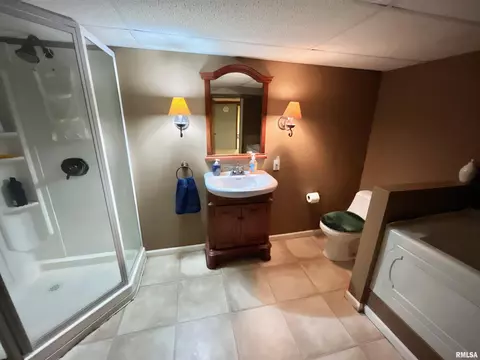 716 7th Ave, Fulton, IL 61252 photo 31