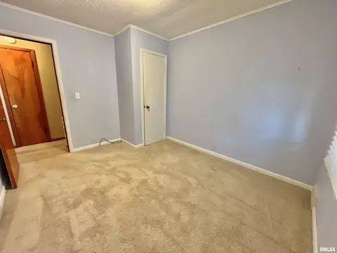 716 7th Ave, Fulton, IL 61252 photo 20