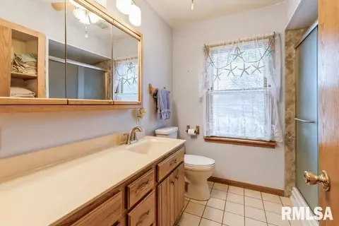 801 10th Ave, Fulton, IL 61252 photo 17
