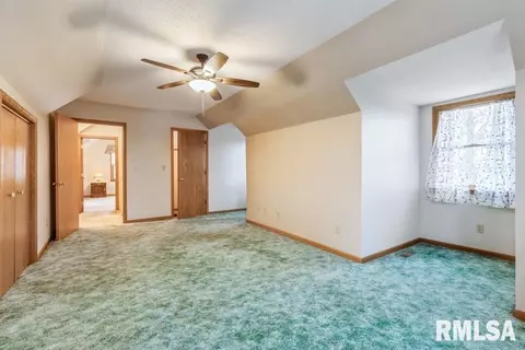 801 10th Ave, Fulton, IL 61252 photo 19