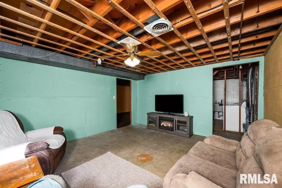 Other - 209 1st Ave, Dewitt, IA 52742 photo 10 of 10