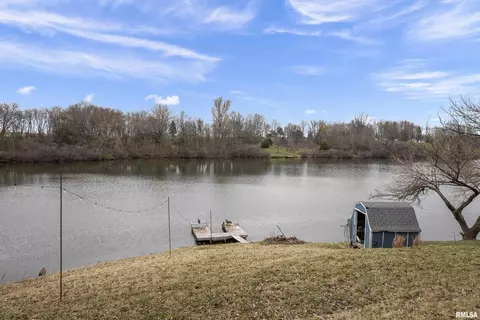 31 Cresent Lk, Alpha, IL 61413 photo 18