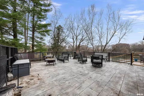 31 Cresent Lk, Alpha, IL 61413 photo 20