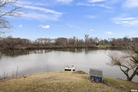 31 Cresent Lk, Alpha, IL 61413 photo 25