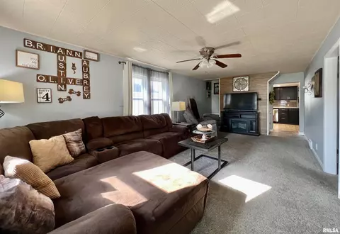 209 3rd St, Colona, IL 61241 photo 4