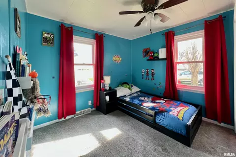 209 3rd St, Colona, IL 61241 photo 14