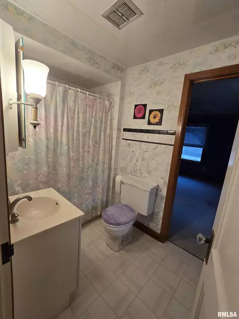 1220 9th Ave, Fulton, IL 61252 photo 7