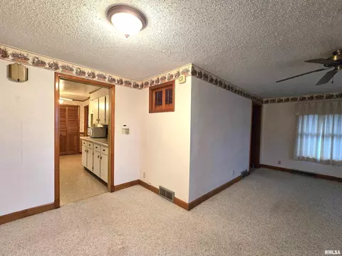 1220 9th Ave, Fulton, IL 61252 photo 3