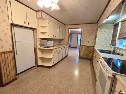 1220 9th Ave, Fulton, IL 61252 photo 5
