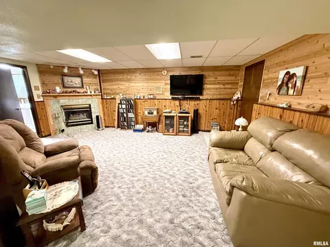 102 E 7th Ave, Colona, IL 61241 photo 24