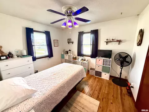 102 E 7th Ave, Colona, IL 61241 photo 16