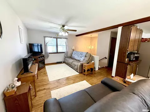 102 E 7th Ave, Colona, IL 61241 photo 4