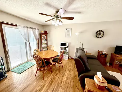102 E 7th Ave, Colona, IL 61241 photo 6