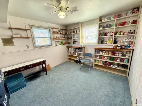 102 E 7th Ave, Colona, IL 61241 photo 30