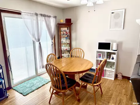 102 E 7th Ave, Colona, IL 61241 photo 7