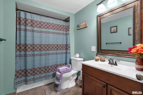 5338 5th Ave, Moline, IL 61265 photo 21