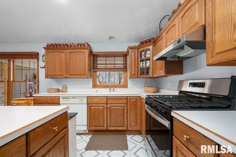 8861 E 1000th St, Cambridge, IL 61238 photo 19