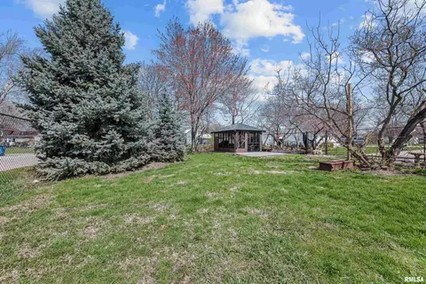 408 E Henry St, Atkinson, IL 61235 photo 39