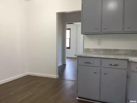 424 Springfield Ave, Anna, IL 62906 photo 10
