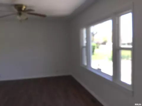 424 Springfield Ave, Anna, IL 62906 photo 9