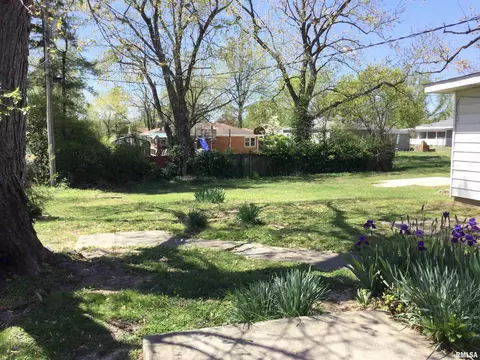 424 Springfield Ave, Anna, IL 62906 photo 34