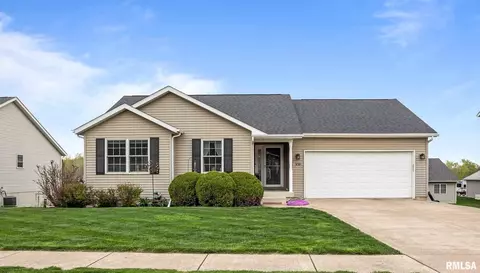 939 5th Avenue Dr, Andalusia, IL 61232