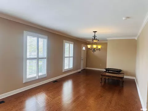 205 Evergreen Dr, Anna, IL 62906 photo 9