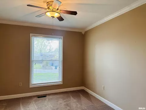 205 Evergreen Dr, Anna, IL 62906 photo 11