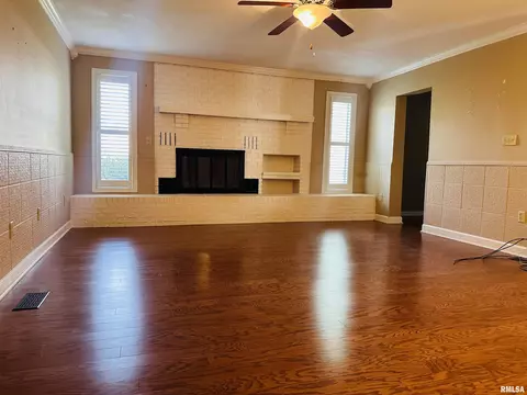205 Evergreen Dr, Anna, IL 62906 photo 4