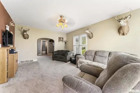 301 W Jackson St, Joy, IL 61260 photo 3