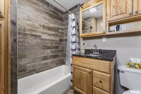 301 W Jackson St, Joy, IL 61260 photo 8