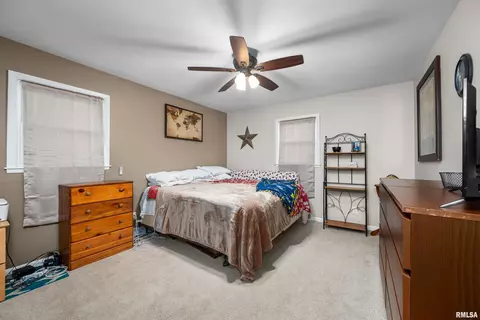 618 E Chestnut St, Geneseo, IL 61254 photo 8