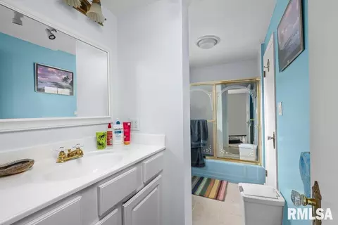 111 S Barrington Dr, Hampton, IL 61256 photo 18