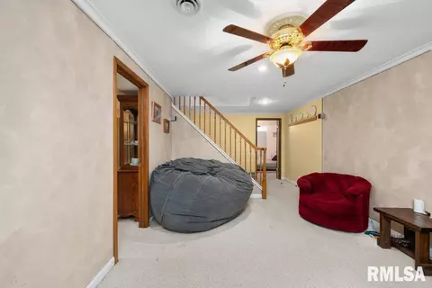 111 S Barrington Dr, Hampton, IL 61256 photo 20