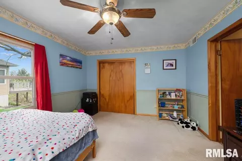 111 S Barrington Dr, Hampton, IL 61256 photo 14