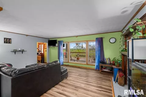 111 S Barrington Dr, Hampton, IL 61256 photo 5