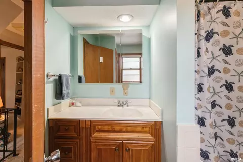 4414 26th Ave, Moline, IL 61265 photo 25