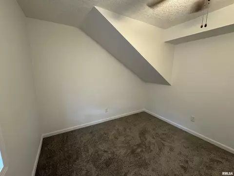 329 E Orange St, Geneseo, IL 61254 photo 16